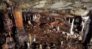 aslan1-aslan-insan-bizsiziz