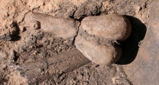 Arizona’daki kazılar kapsamında bulunanlar arasından 1. tip olan olarak bilinen bir heykelcik. Gövdenin ucunun yakınında, solda bulunan yuvarlak şekil kimileri tarafından göğüs olarak yorumlanıyor. F: M. Chenault