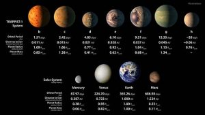 statistics-trappist-bizsiziz