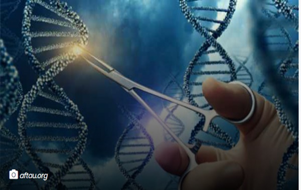 CRISPR Gen Değiştirme