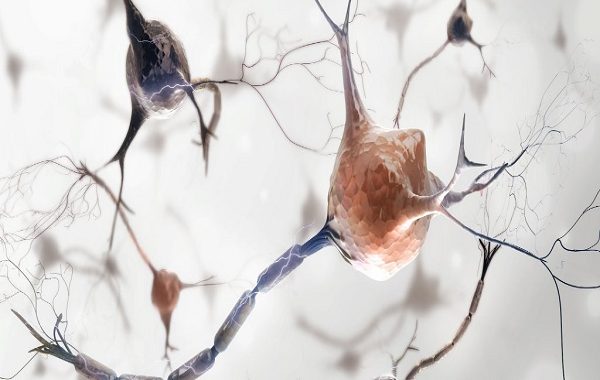 Experiments with lab mice, offer a ray of hope for the millions of people with anxiety disorders