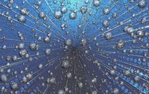 This work sheds new light on topological quantum matter