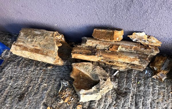 Edirne Kum Ocağında Bulunan Kemikler 8 Milyon Yıllık Mamut Fosili Çıktı.