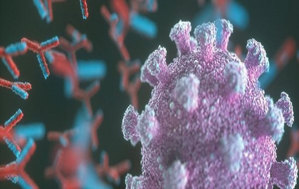 As the answer to how long the immunity lasts, scientists give 6 to 8 months