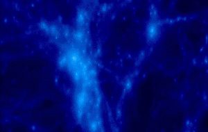 Astronomers Spot Elusive