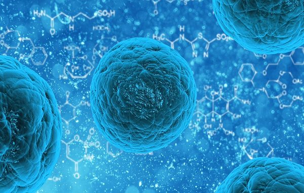 Hydrogel controls cell growth outside the body