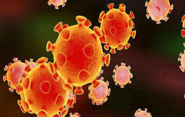 Portakaldan Covid-19