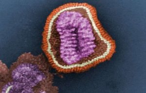 Grip Bağışıklığı, Enfeksiyon ve Aşılamadan