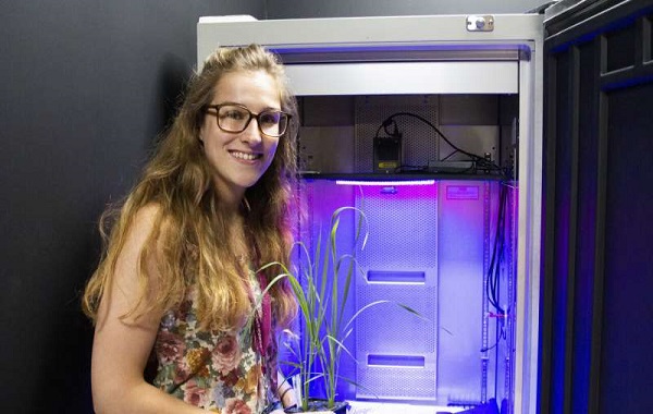 Bitkiler, Tıpkı Bizim Gibi Gündüz Kuşu veya Gece Kuşu Olabilir