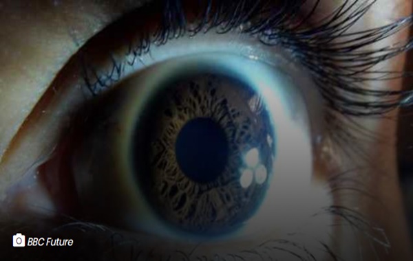 Ölümcül Uykusuzluk