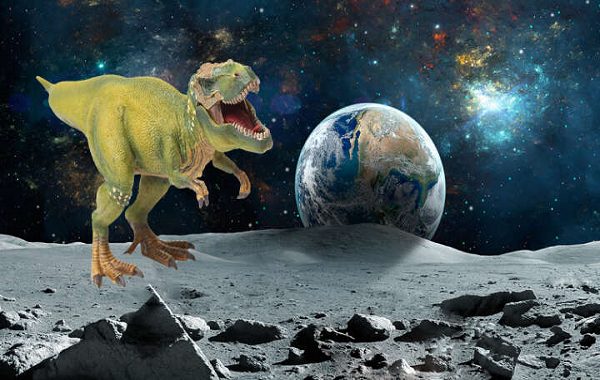 Ayın Yüzeyinde Muhtemelen Dinozor Kalıntıları Olduğu Duyuruldu