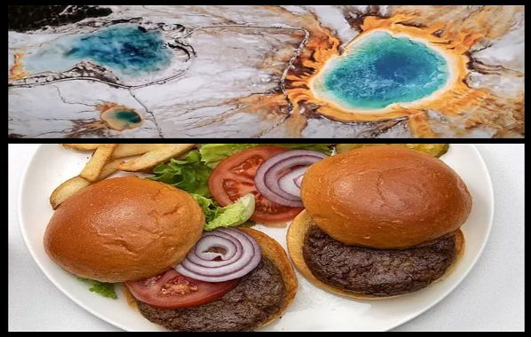 Proteine Dönüştürülen Kaplıca Mikrobundan, Sağlıklı Hamburgerler Yapılıyor