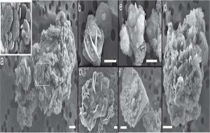 Mineral often found on Mars