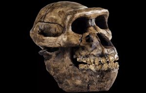 Dünyada Bugüne Kadar