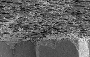 Scientists discover how