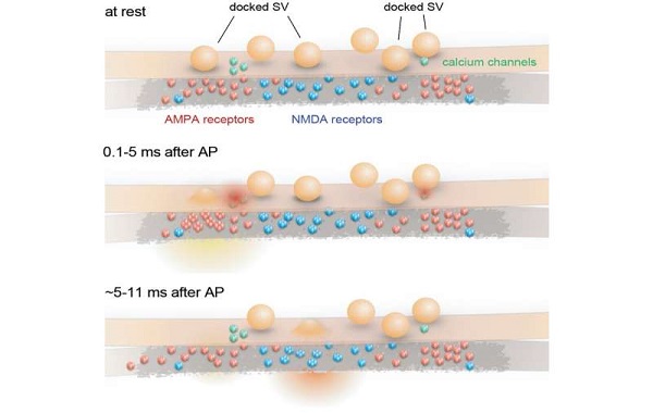 Turning on the switch