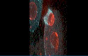 The Very First Signs