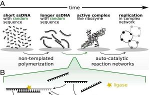 Origin of life: Did Darwinian