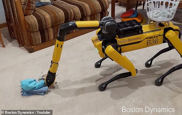 Robo-Köpek Spotun Artık Beşinci Bir Uzvu Var: