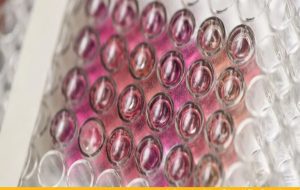 Scientists Use Weather Radar