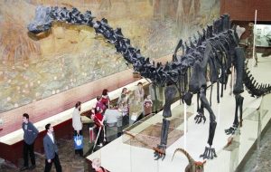 Dinozorların Neden