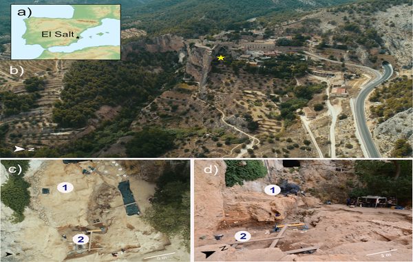 Günümüz İnsanının Bağırsak Mikroorganizmaları, 50.000 Yıllık Neandertal Dışkısında Bulundu