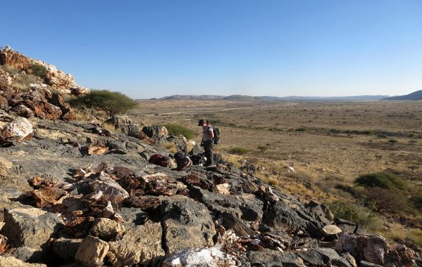 Darwini Kızdıran Bulmaca, Olağanüstü Korunmuş Fosiller Sayesinde Çözülüyor