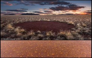 Afrikadaki Peri Çemberlerinin Gizemi Çözüldü