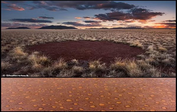 Afrikadaki Peri Çemberlerinin Gizemi Çözüldü