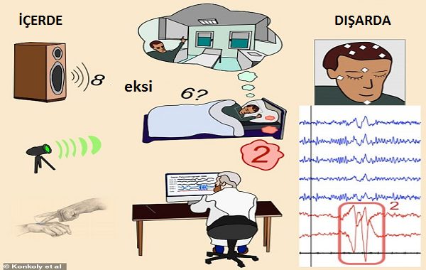 Bilinçli Rüya Görenler Uyku Sırasında İletişim Kurabilirler