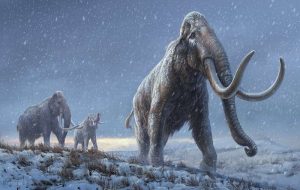 World's oldest DNA reveals