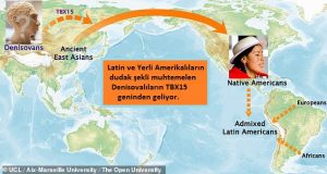 Yüz Genetiğimiz İncelendi: Burun Ucunda Fare, Dudak Şeklinde Denisovalı Geni Bulundu