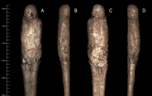 İlk Defa Kayıtlara Geçen "Çamur Kaplı Mumya" Arkeologları Şaşırttı