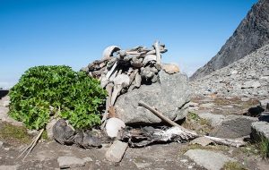 İskelet Gölünün Gizemi