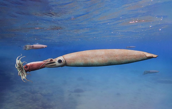 180 Milyon Yıllık Fosil