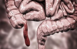 Darwin Yanıldı! İşlevsiz Olduğu Düşünülen Apandis Olmasa Ne Olurdu?
