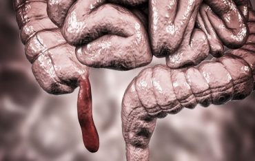 Darwin Yanıldı! İşlevsiz Olduğu Düşünülen Apandis Olmasa Ne Olurdu?
