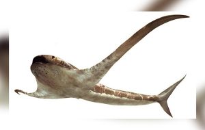 93 Milyon Yıl Önce