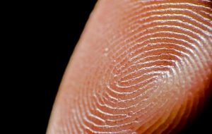 The Sensitivity of Human Fingertips