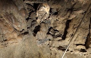 Mağarada Bulunan 5.600