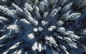 Kar mı Yağıyor, Mikroplastik mi? Bulgular Bilim İnsanlarını Şaşırttı