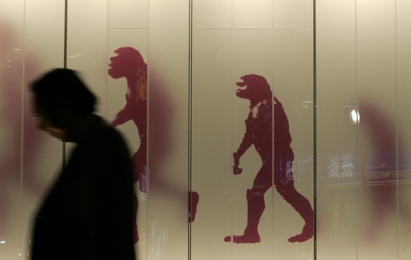 İnsanı Diğer Primatlardan