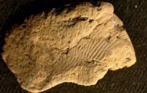 Orkneyde 5.000 yıl Öncesine