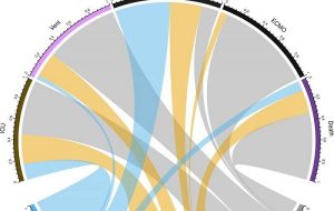 COVID-19 patients can be categorized