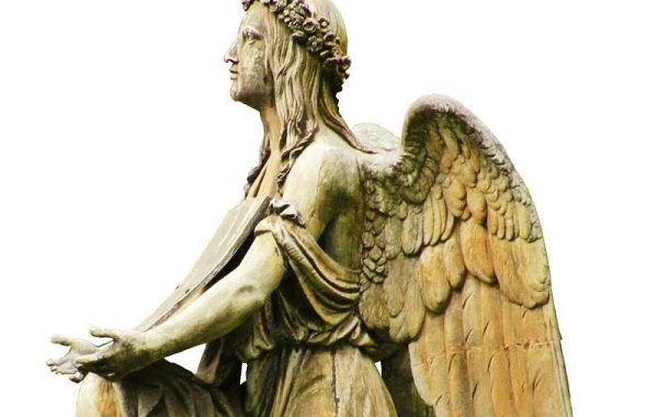 COVID-19 not the sole cause