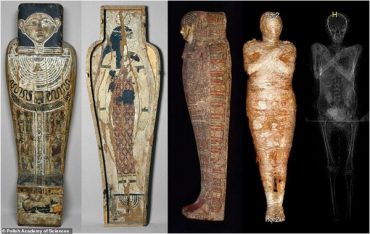 Dünyanın İlk Hamile Kadın Mumyası, Horusun 4 Oğlunu Temsil Eden Muskayla Birlikte Keşfedildi