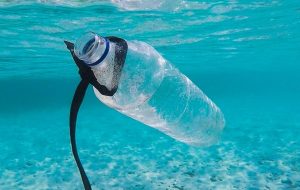 Plastik Atıkları