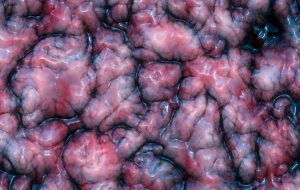 Canlı İnsan Beyni Dokusunda Türünün İlk Örneği Deney Gerçekleştirildi