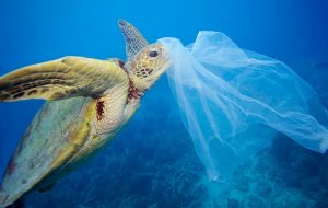 Plastik Atık İlk Kez Deniz