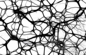 İnsan Nöronlarının